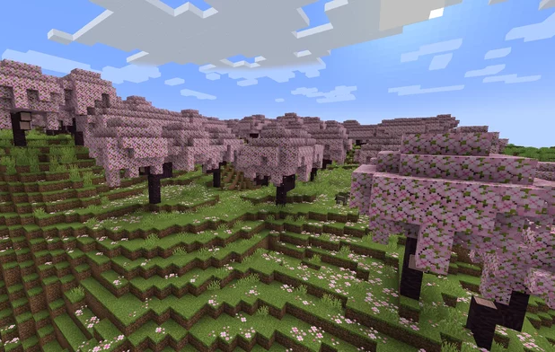 Hướng dẫn cách tìm rừng anh đào trong Minecraft 1.20