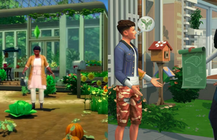 Nhà phát hành game The Sims thuê hẳn chuyên gia tâm lý, lắng nghe mong muốn của người dùng