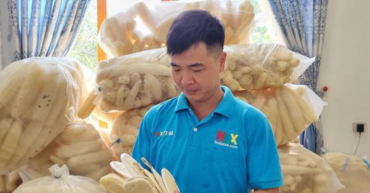 Nghỉ việc ngân hàng lương cao, chàng trai Bắc Ninh biến xơ mướp thành sản phẩm xuất khẩu nghìn đô