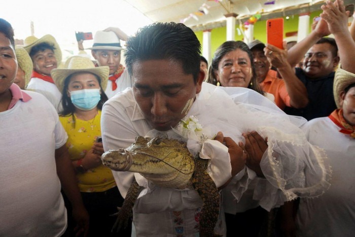 Người đàn ông bất ngờ kết hôn cùng cá sấu