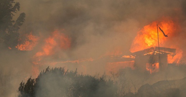 Cháy rừng thảm khốc ở Chile, ít nhất 46 người thiệt mạng