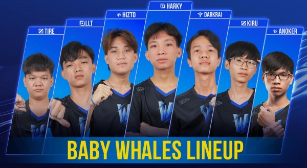Team Whales công bố đội hình “Baby” đầy tài năng: 2 tuyển thủ đã từng thi đấu tại VCS, thành viên trẻ nhất mới có 16 tuổi