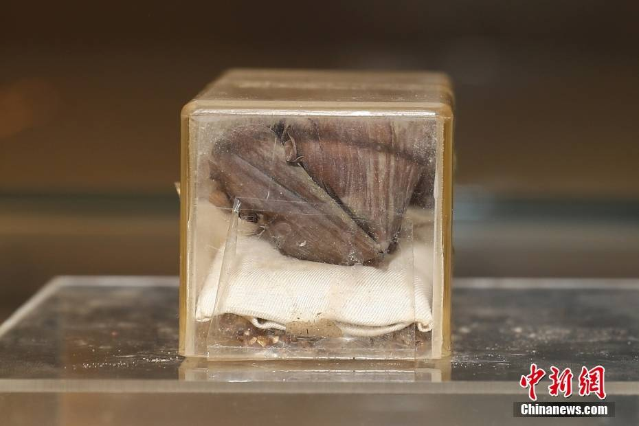 Hai chiếc bánh ú cổ nhất Trung Quốc gây trầm trồ với tuổi thọ hơn 700 năm