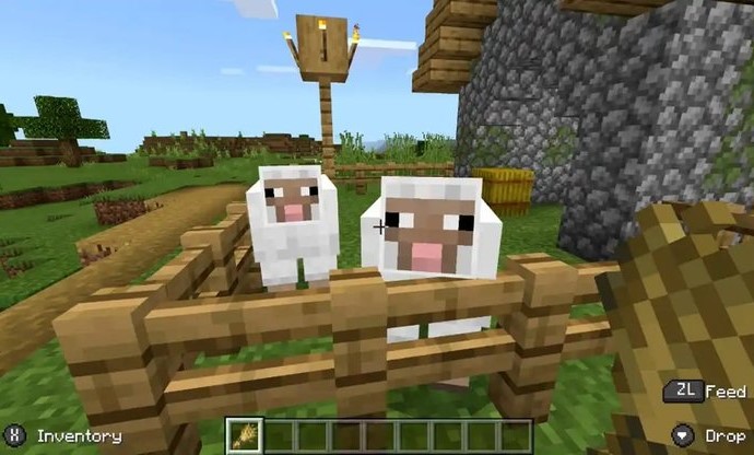 Hướng dẫn game thủ cách kiếm thức ăn, chăn nuôi và nhân giống Cừu trong Minecraft 2024