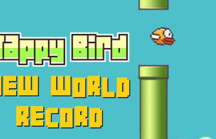 Kỷ lục điểm số của Flappy Bird là bao nhiêu?