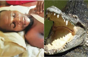 Bị đàn cá sấu ba con tấn công, nam thanh niên khiến CĐM sửng sốt khi dìm một chết đuối, dọa hai con 