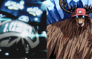 Tác giả One Piece tiết lộ lý do tại sao sự thức tỉnh của trái ác quỷ hệ Zoan lại nguy hiểm
