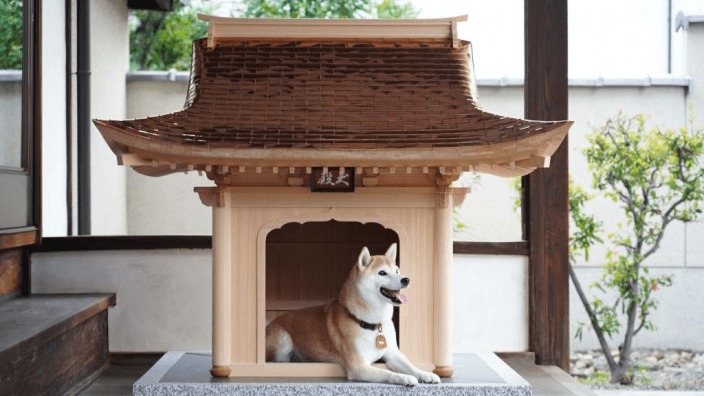 Thu nhỏ cung điện Nhật Bản thành nhà cho thú cưng, netizen trầm trồ trước chuồng chó trị giá 34 triệu