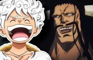 Người hâm mộ One Piece yêu cầu anime chuyển phát sóng theo mùa vì một lý do
