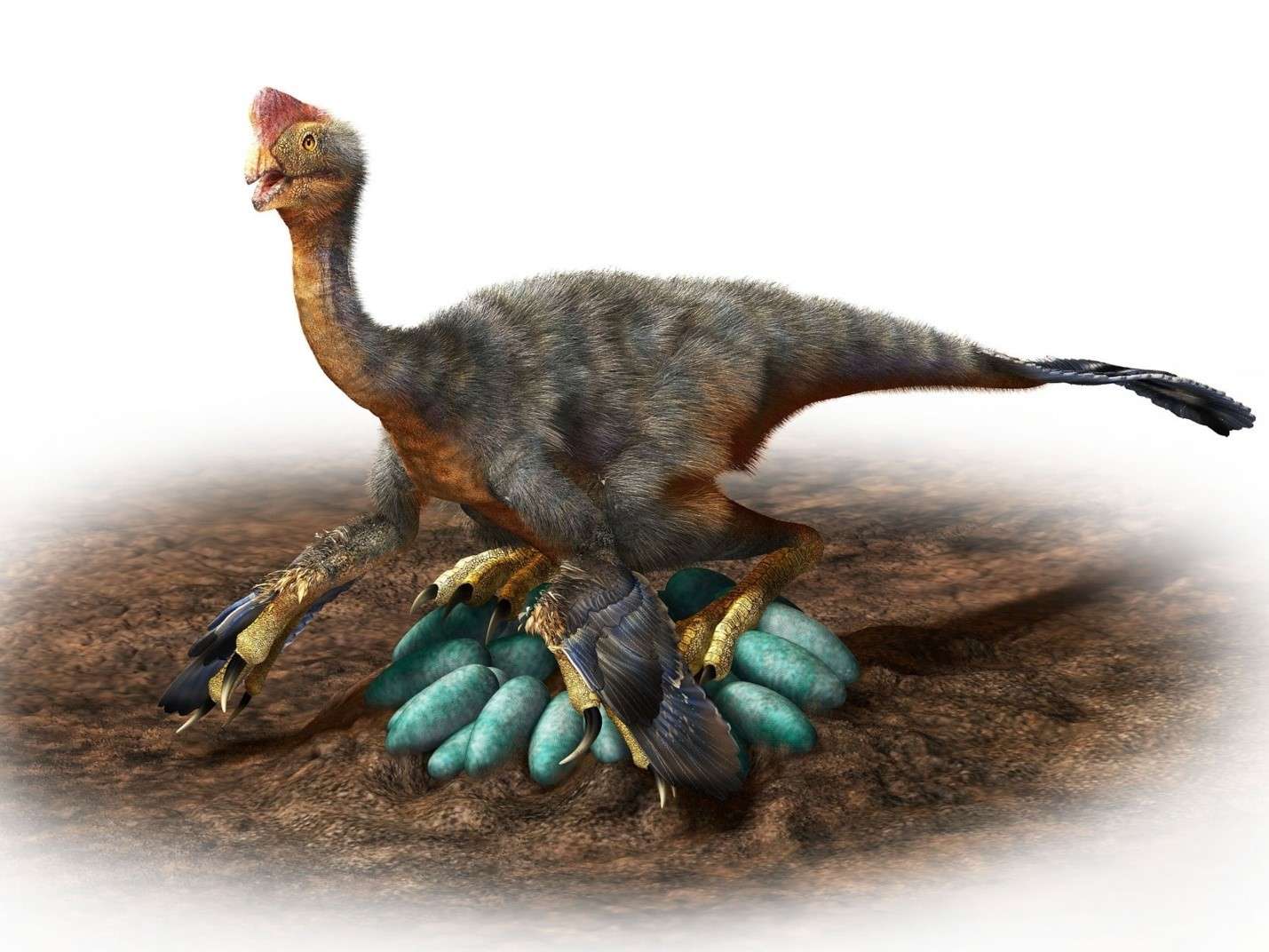 Phát hiện: Phôi khủng long hoàn toàn nguyên vẹn bên trong một quả trứng hóa thạch