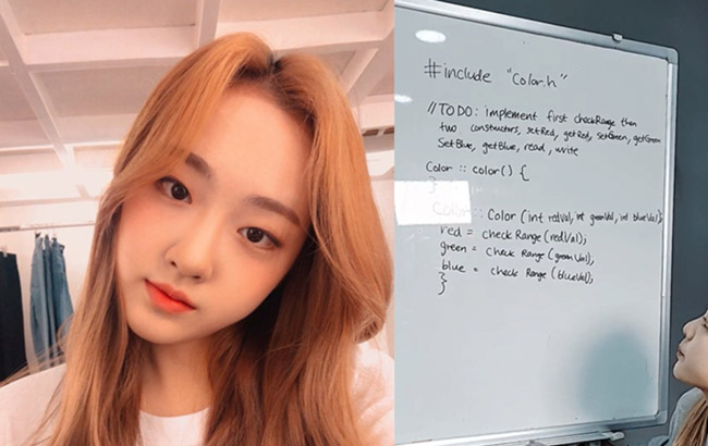 Nữ idol Hàn gây ấn tượng vì dạy code cho fan ngay trên stream