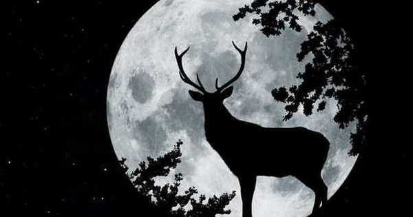 Siêu trăng hươu đực lớn nhất năm 2022, vẻ đẹp 