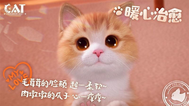 Project Cat - Sản phẩm nuôi mèo ảo đến từ 'cha đẻ' Võ Lâm Truyền Kỳ