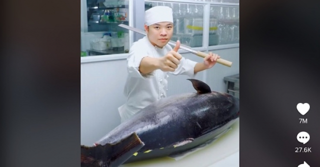 Clip phi lê cá ngừ của Hoshi Phan hút 7 triệu tim, 
