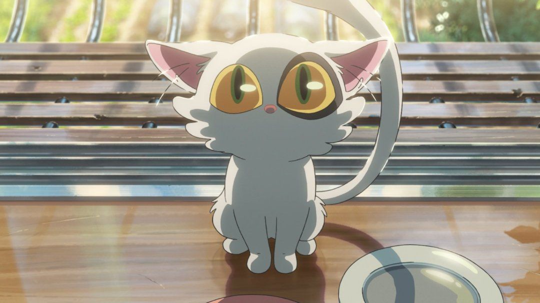Chú mèo Daijin trong Suzume no Tojimari trở nên nổi tiếng vì 'quá dễ thương'