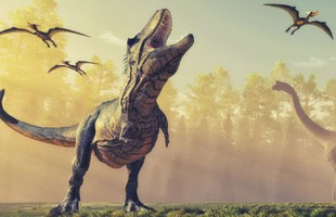Có bao nhiêu khủng long bạo chúa từng tồn tại trên Trái đất?