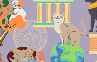 Những chú mèo có thật nổi tiếng nhất trong lịch sử nhân loại: Từ được ướp xác, làm thị trưởng đến ngôi sao màn bạc đều có đủ