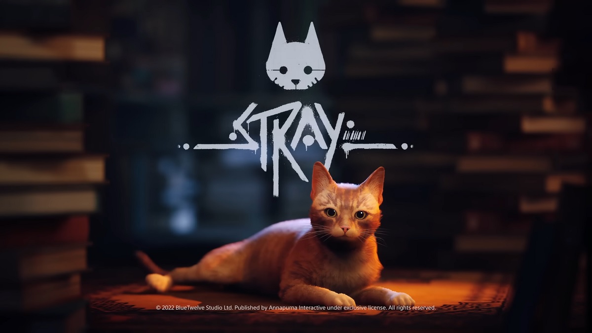 Không chỉ game thủ, đến con mèo của họ cũng thích xem Stray!