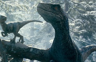 Hé lộ sự thật bất ngờ về dàn khủng long trong hậu trường Thế Giới Khủng Long: Lãnh Địa